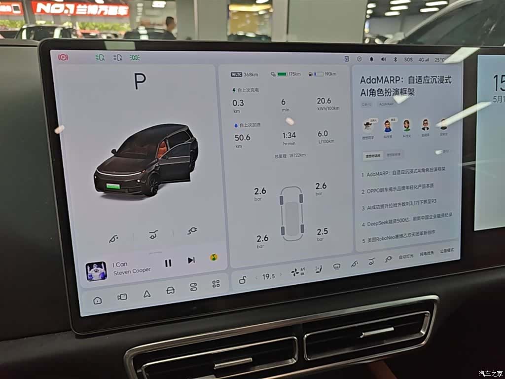 Li Auto L9, 2024 12