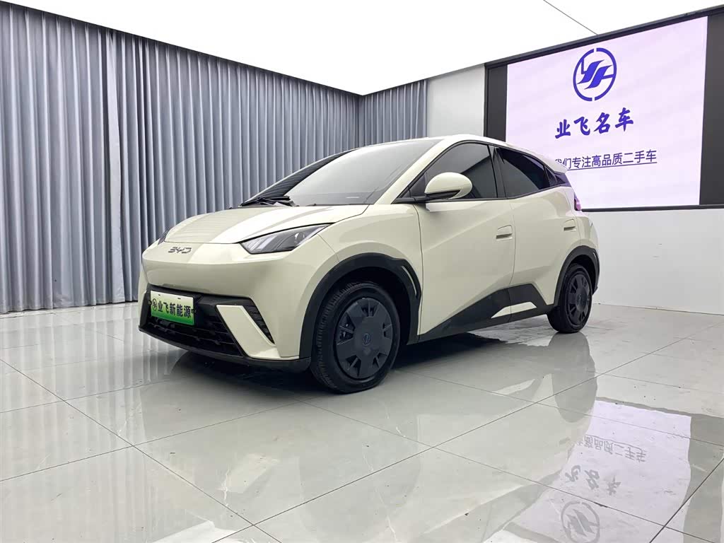 BYD Seagull
