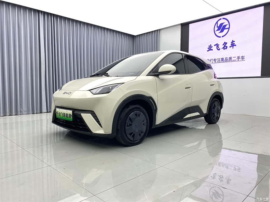 BYD Seagull, 2025 1