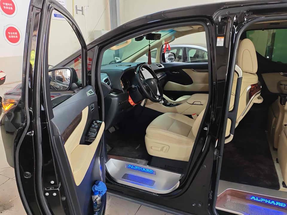 Toyota Elfa