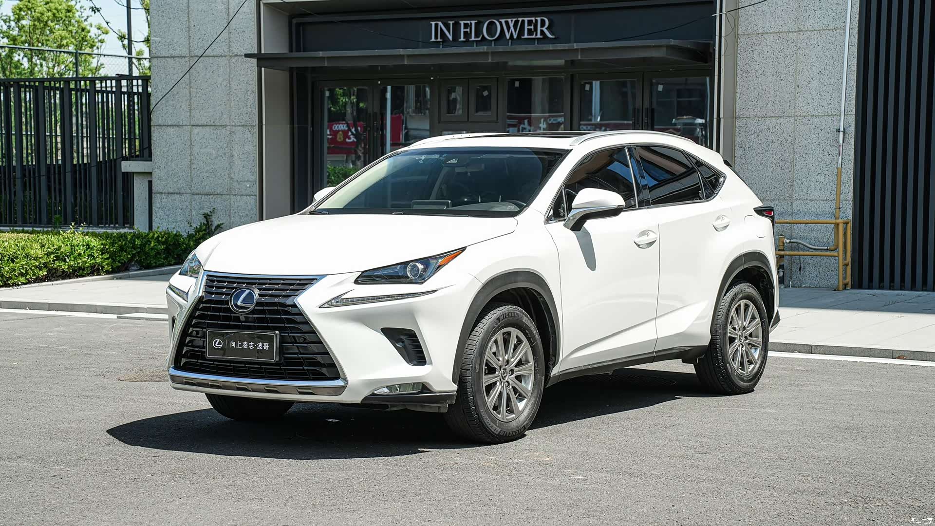 Lexus NX, 2019 1