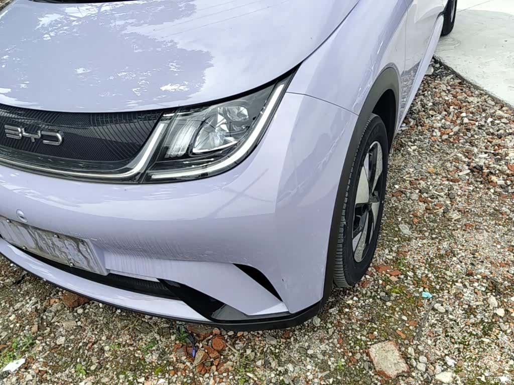 BYD Dolphin, 2023 24