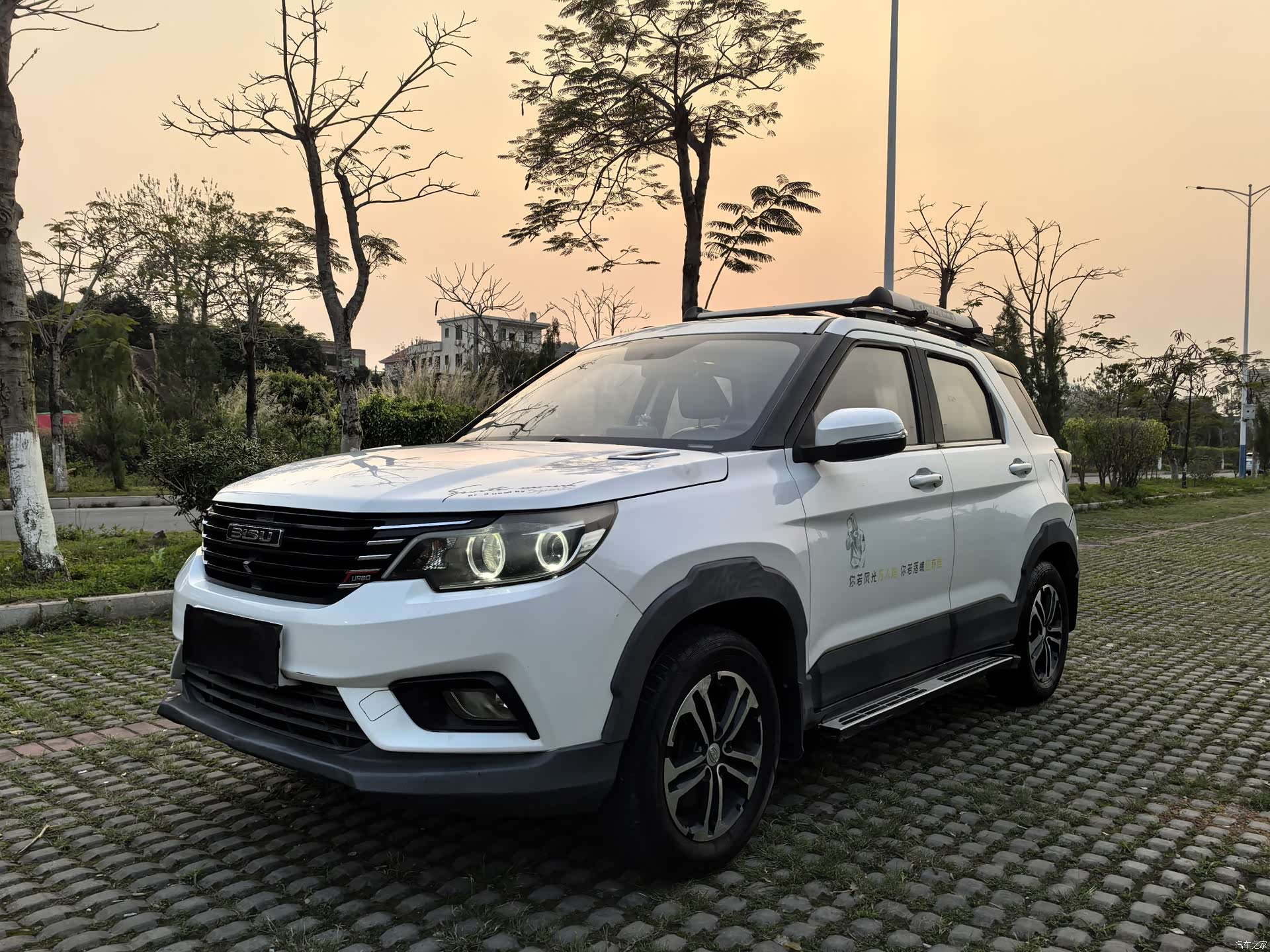 Bisu T3