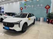 ����T55 2023�� 1.5T �Զ���Ծ��