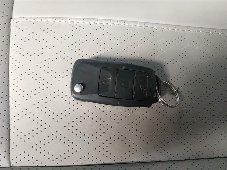 Forthing Lingzhi PLUS