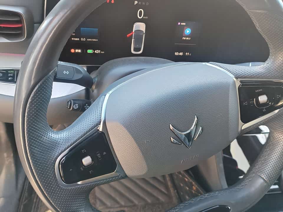 ARCFOX Polar Fox Alpha S