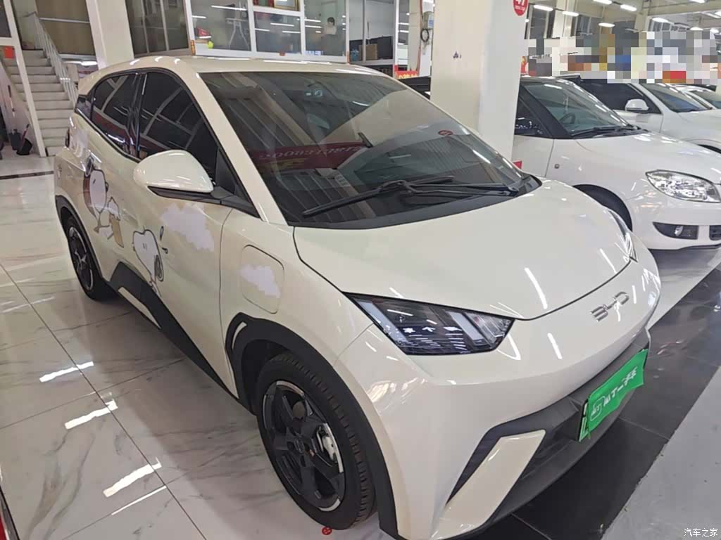 BYD Seagull, 2024 4