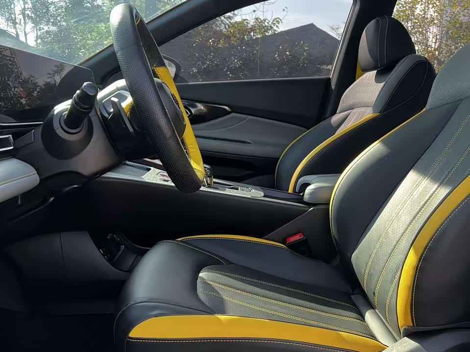 Trumpchi Shadow Leopard