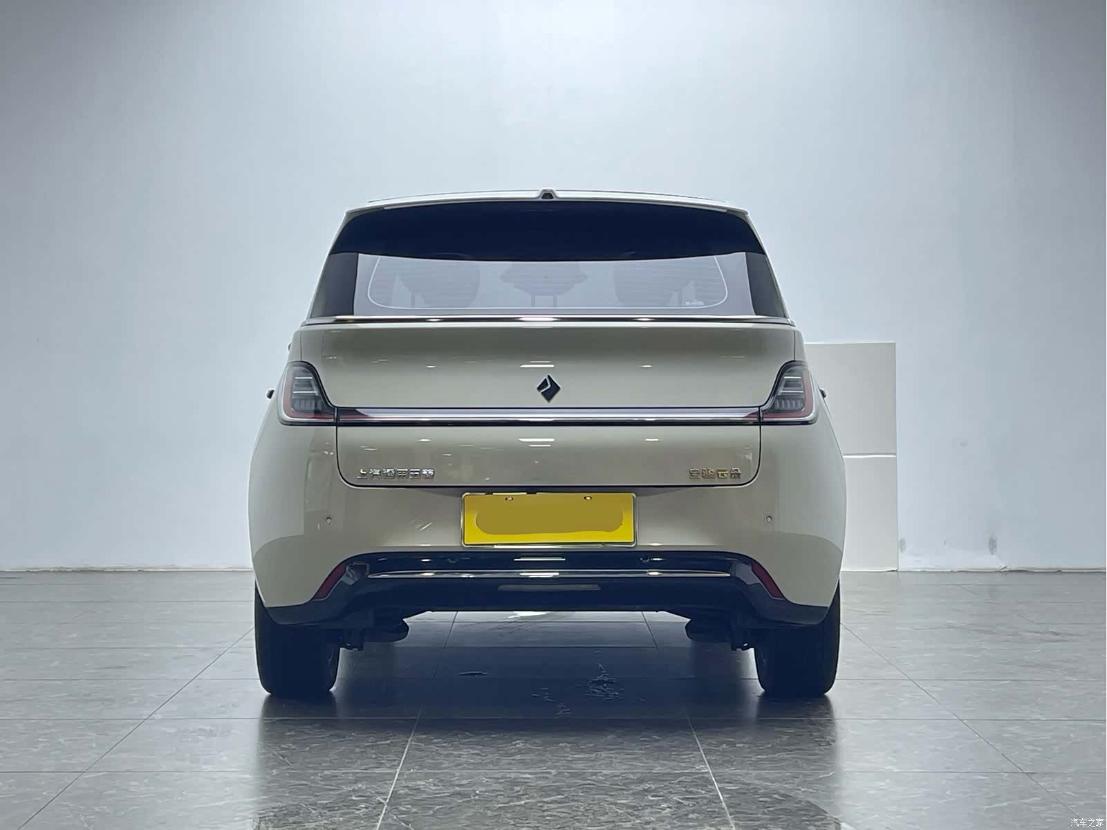 Wuling 460, 2024 все фото