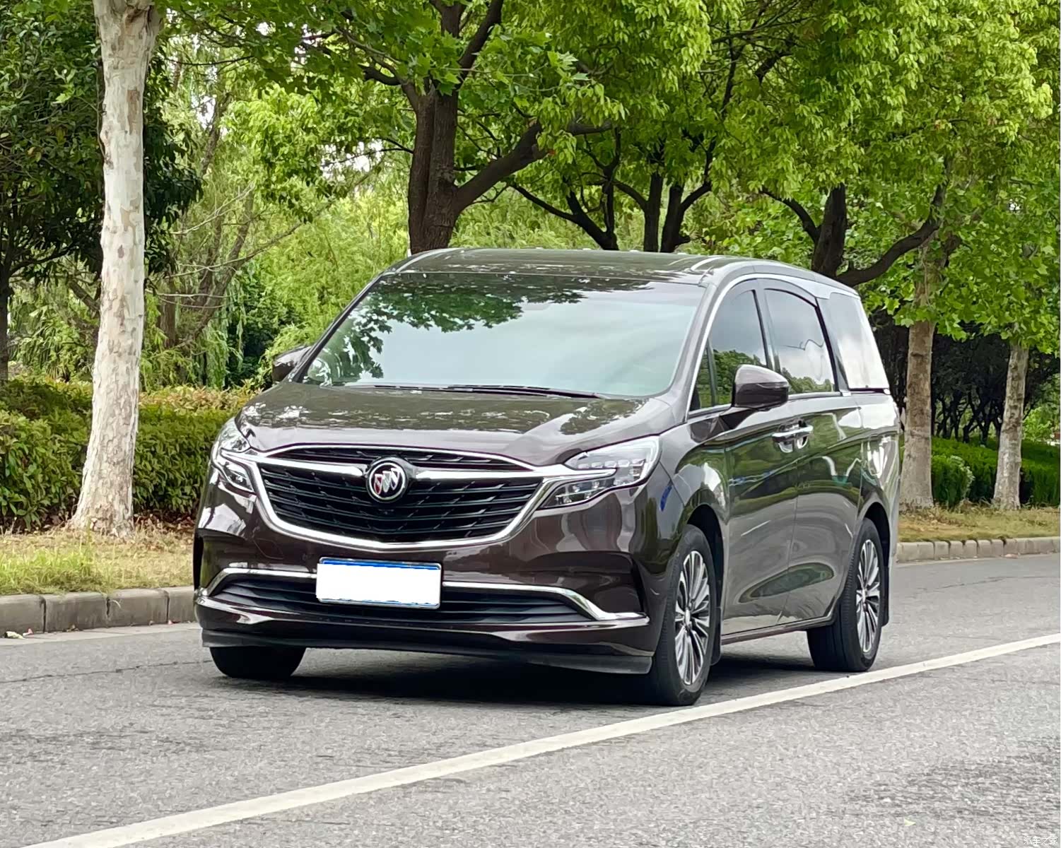Buick GL8, 2020 1