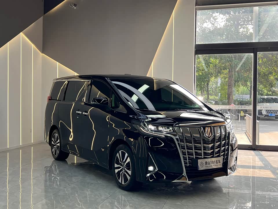 Toyota Elfa