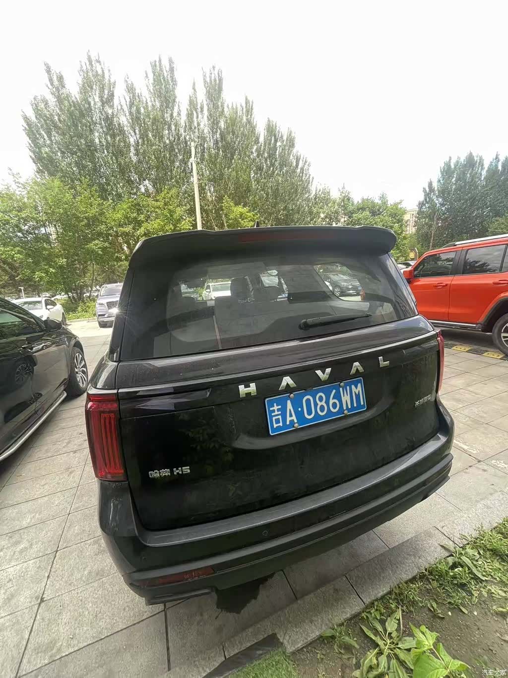 Haval H5, 2024 все фото