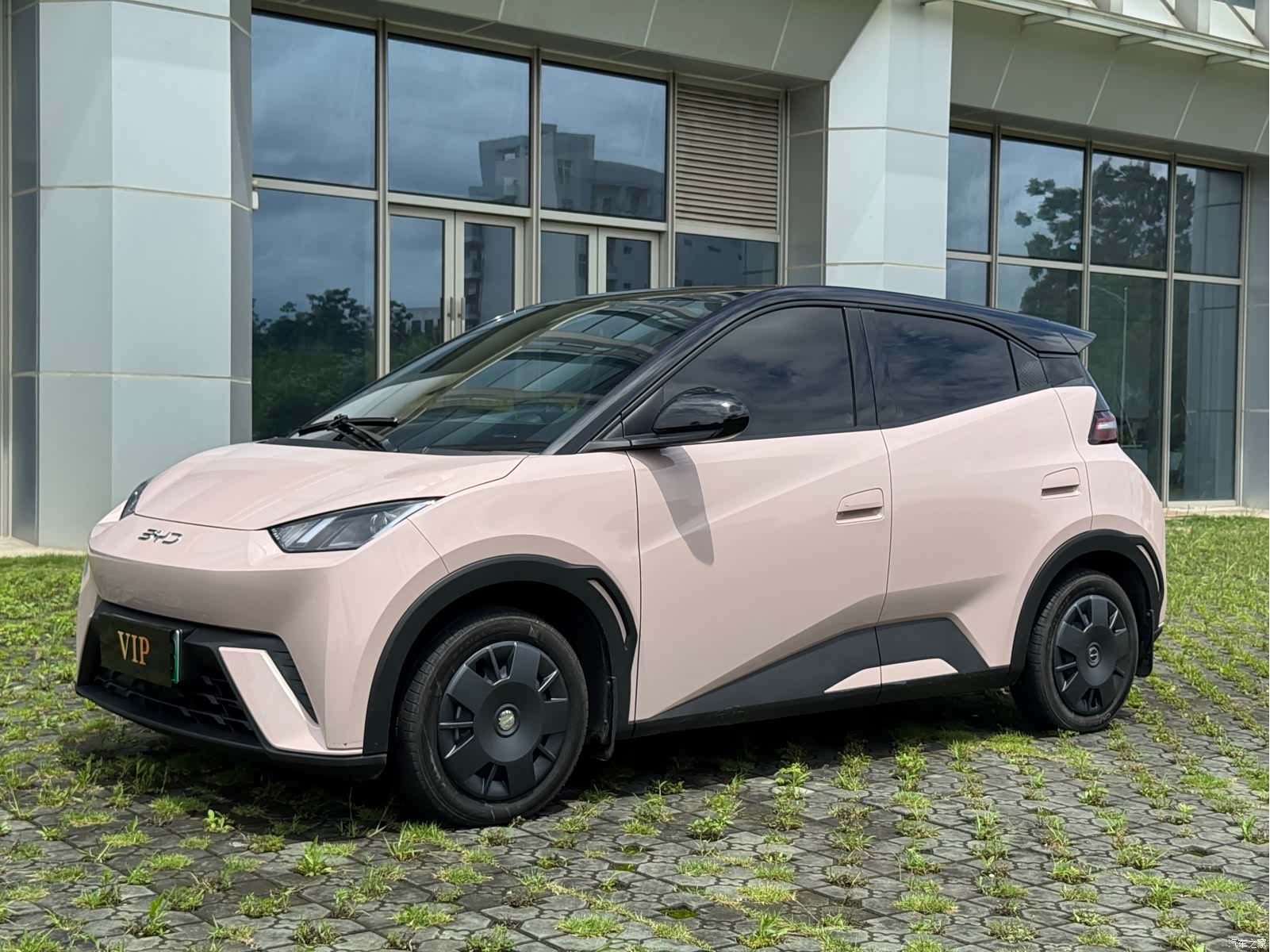 BYD Seagull, 2024 1