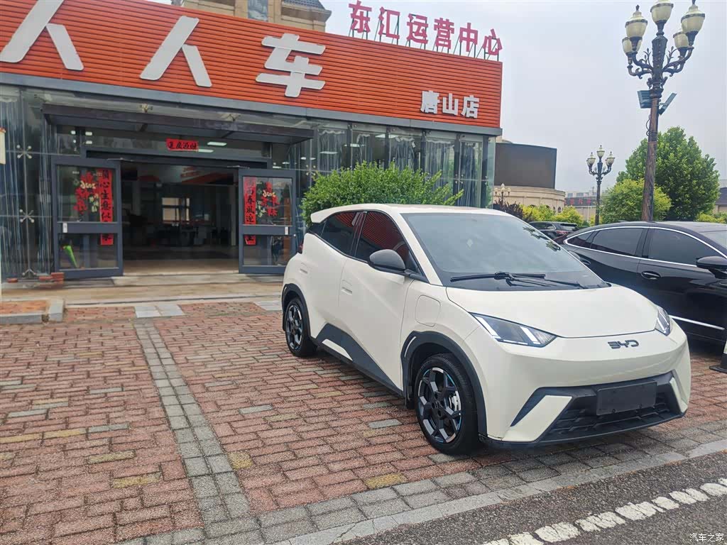 BYD Seagull, 2024 3
