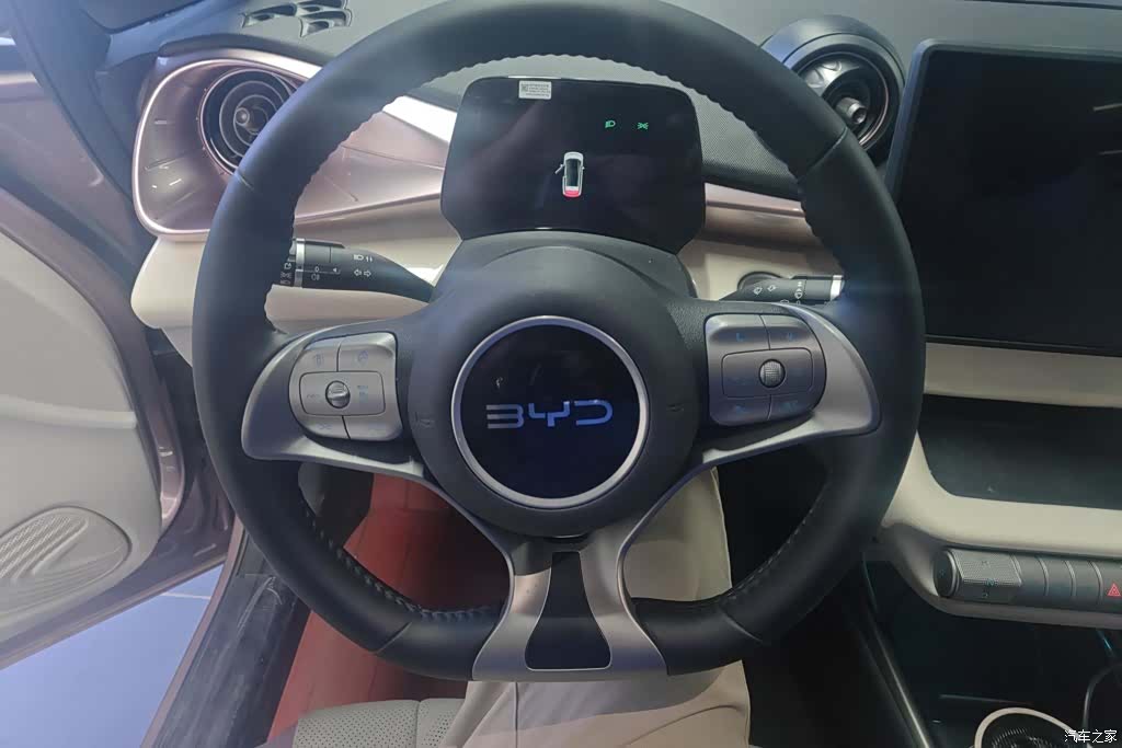 BYD Dolphin, 2025 15