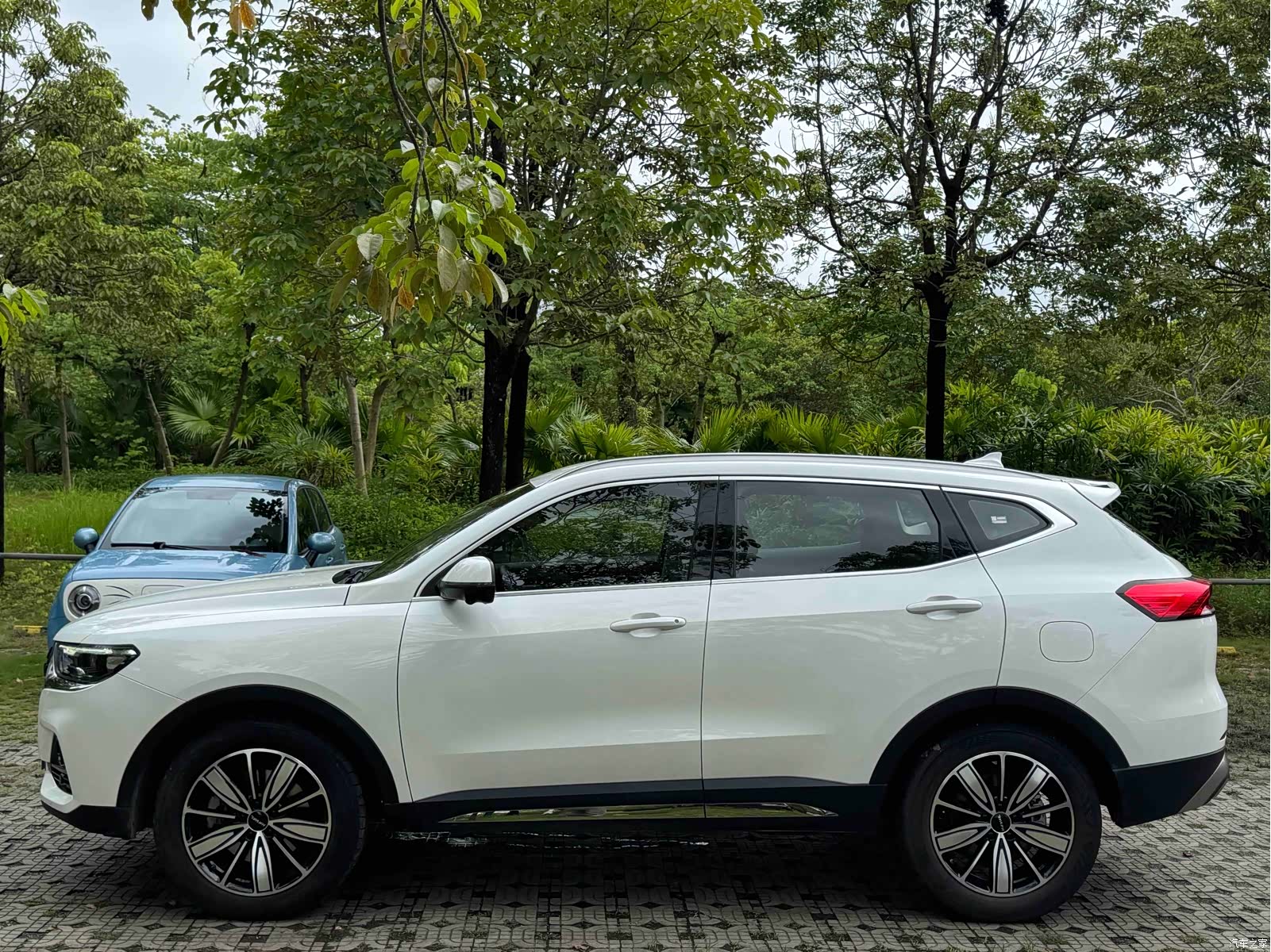 Haval H6, 2023 3
