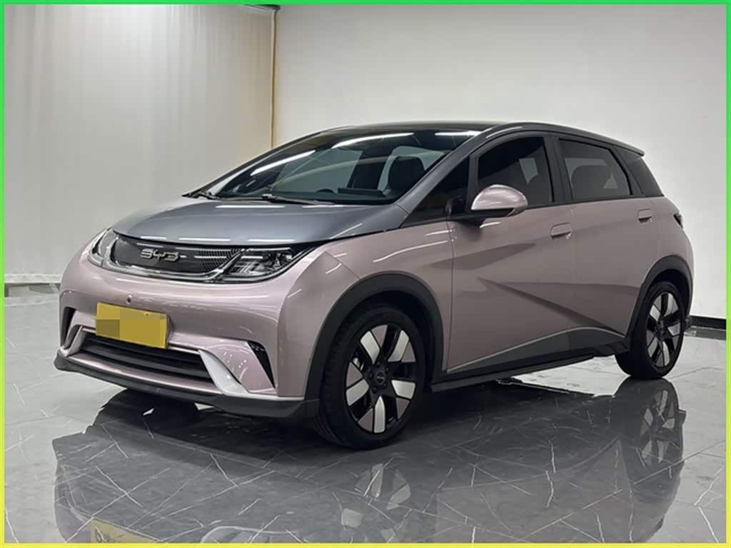 BYD Dolphin