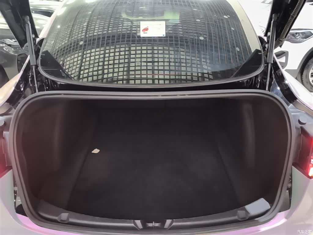 Tesla Model 3, 2021 19