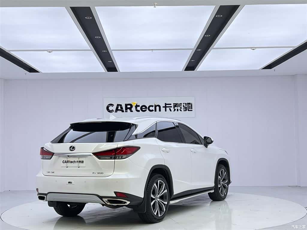Lexus RX, 2022 все фото