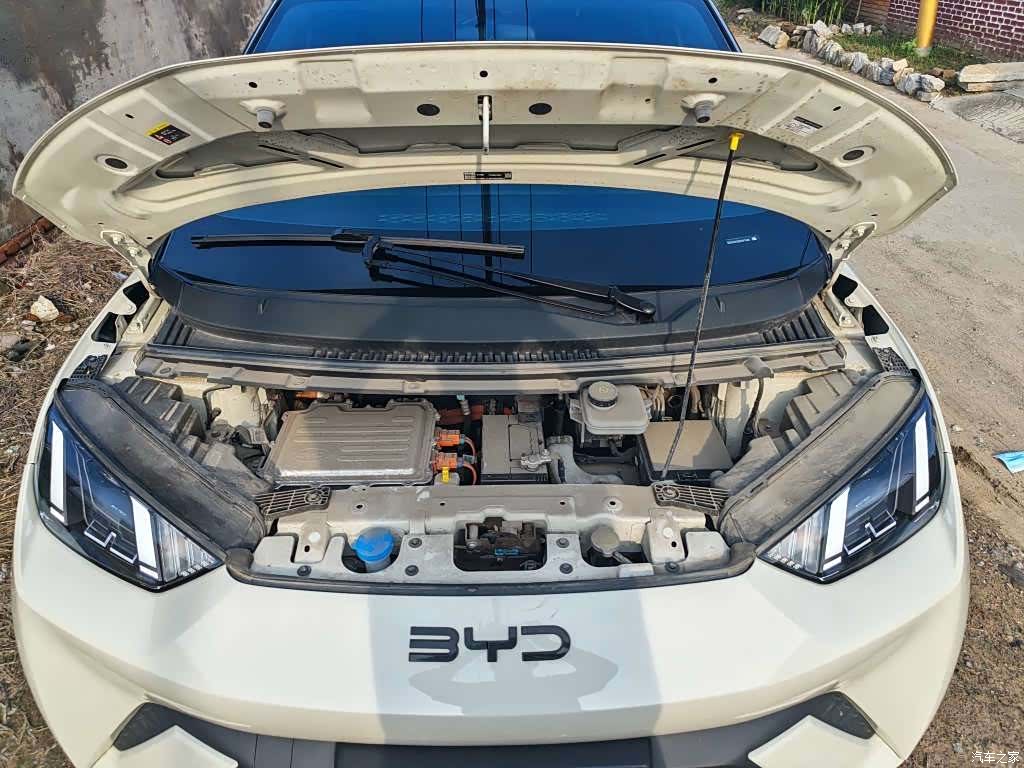 BYD Seagull, 2024 6