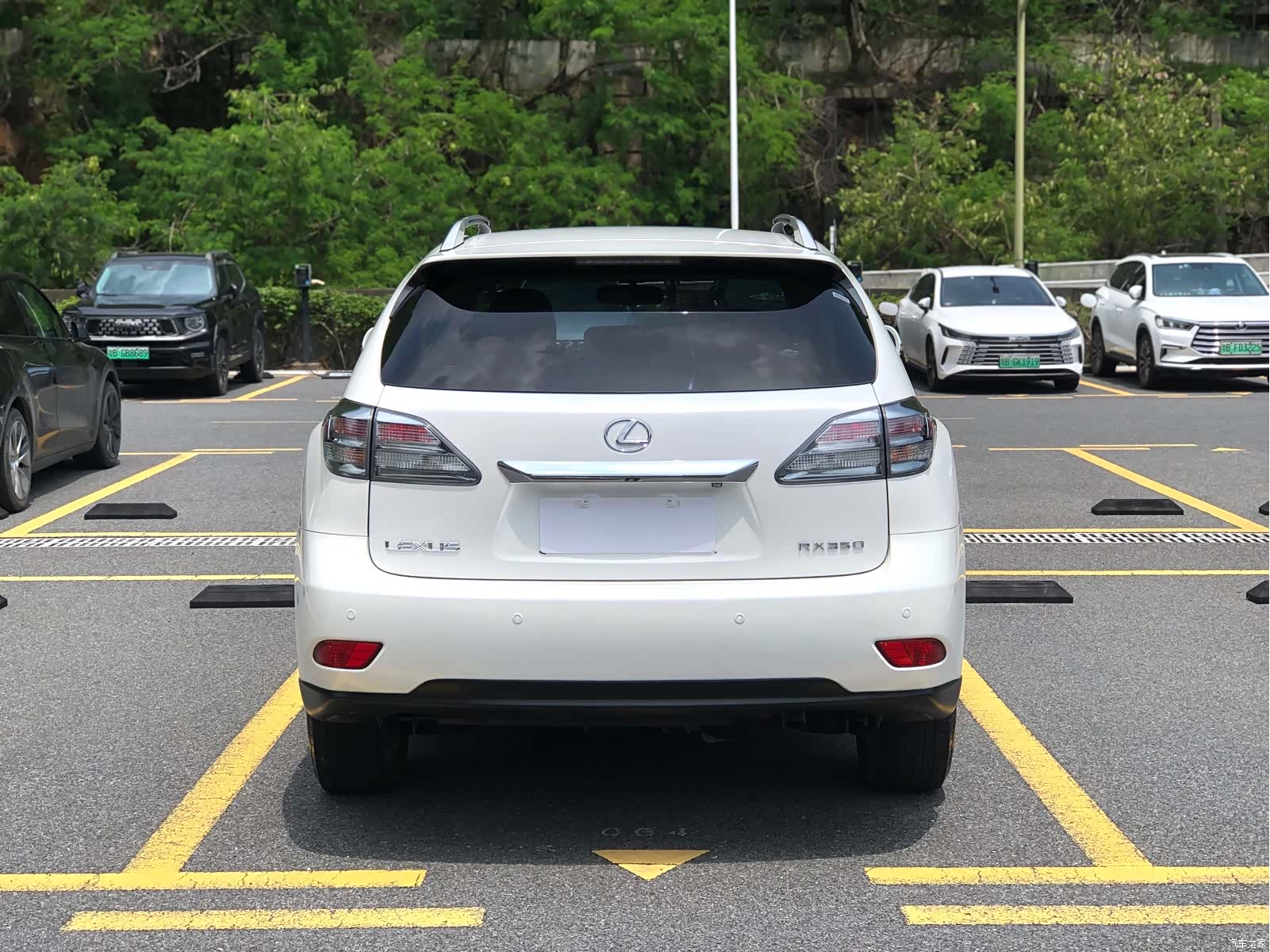 Lexus RX, 2013 все фото