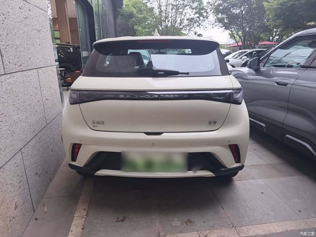 BYD Dolphin, 2026 6