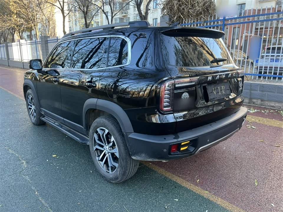 Haval Big dog