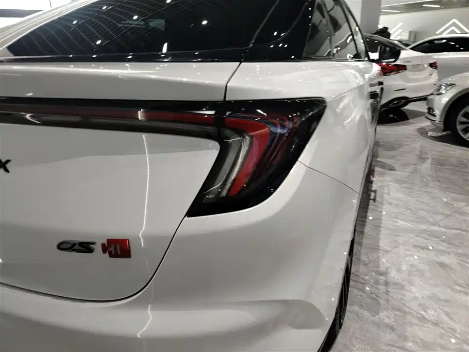 ARCFOX Polar Fox Alpha S