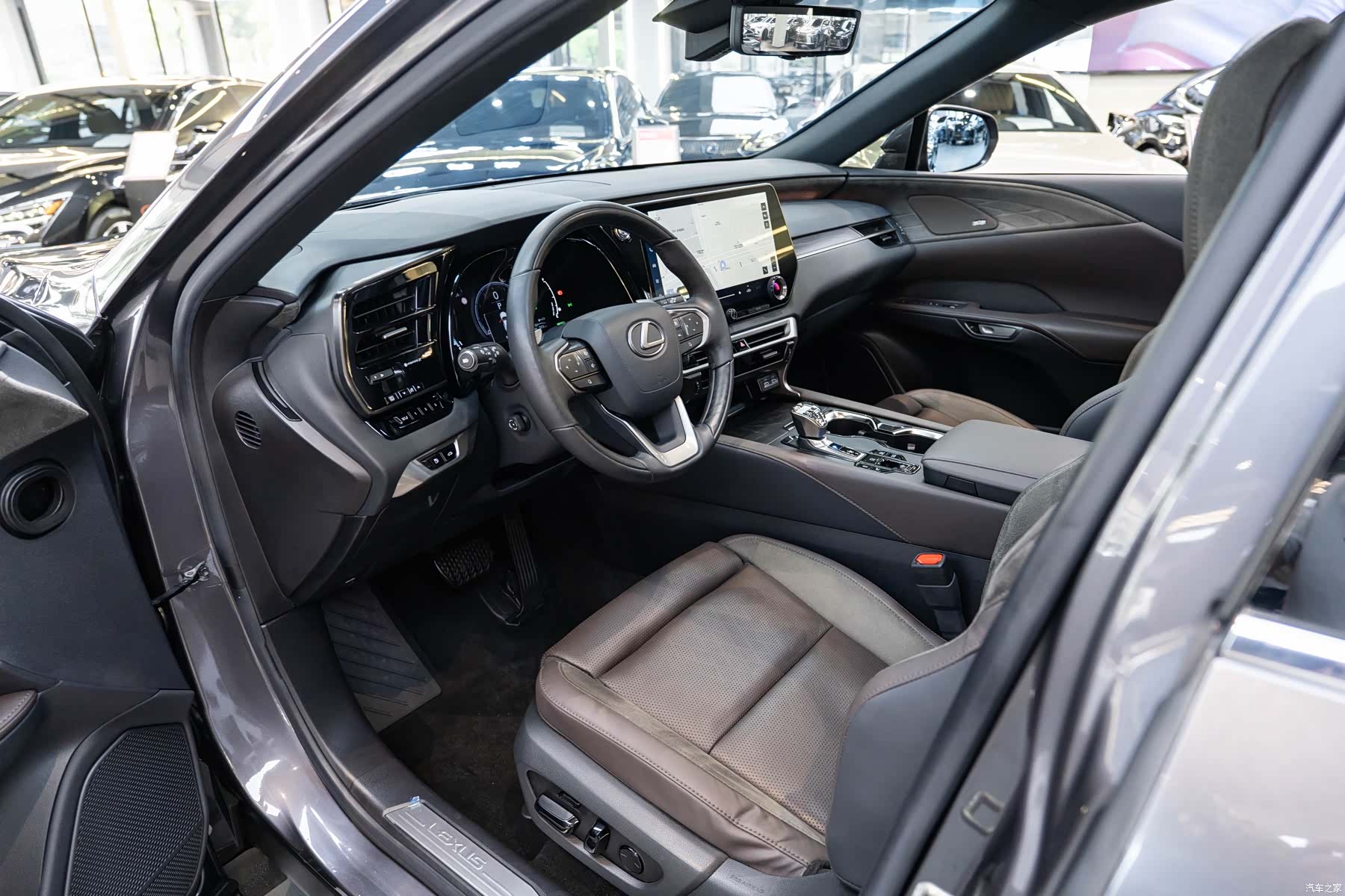 Lexus RX, 2023 9