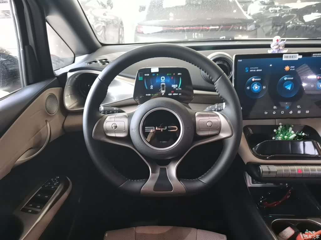 BYD Dolphin, 2024 11