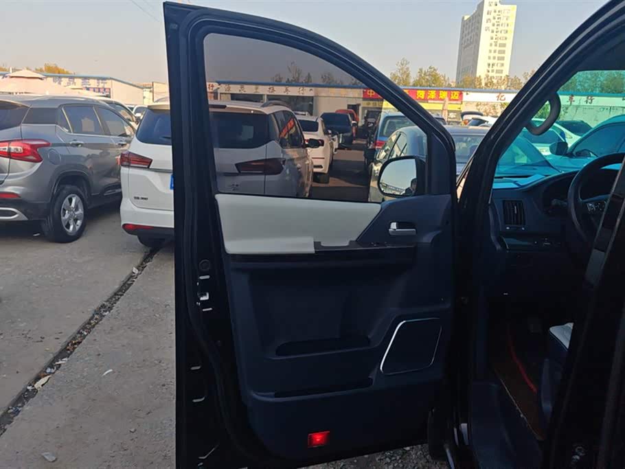 Forthing Lingzhi PLUS