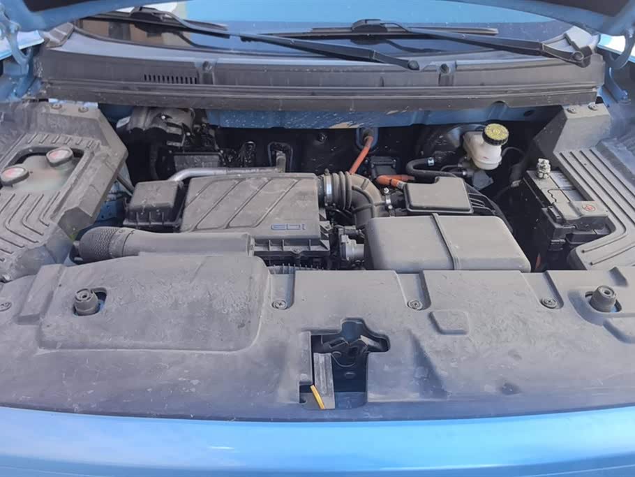 SWM SWM Sway Tiger EDi