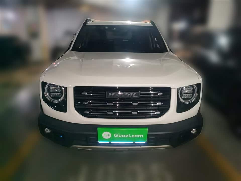 Haval Big dog