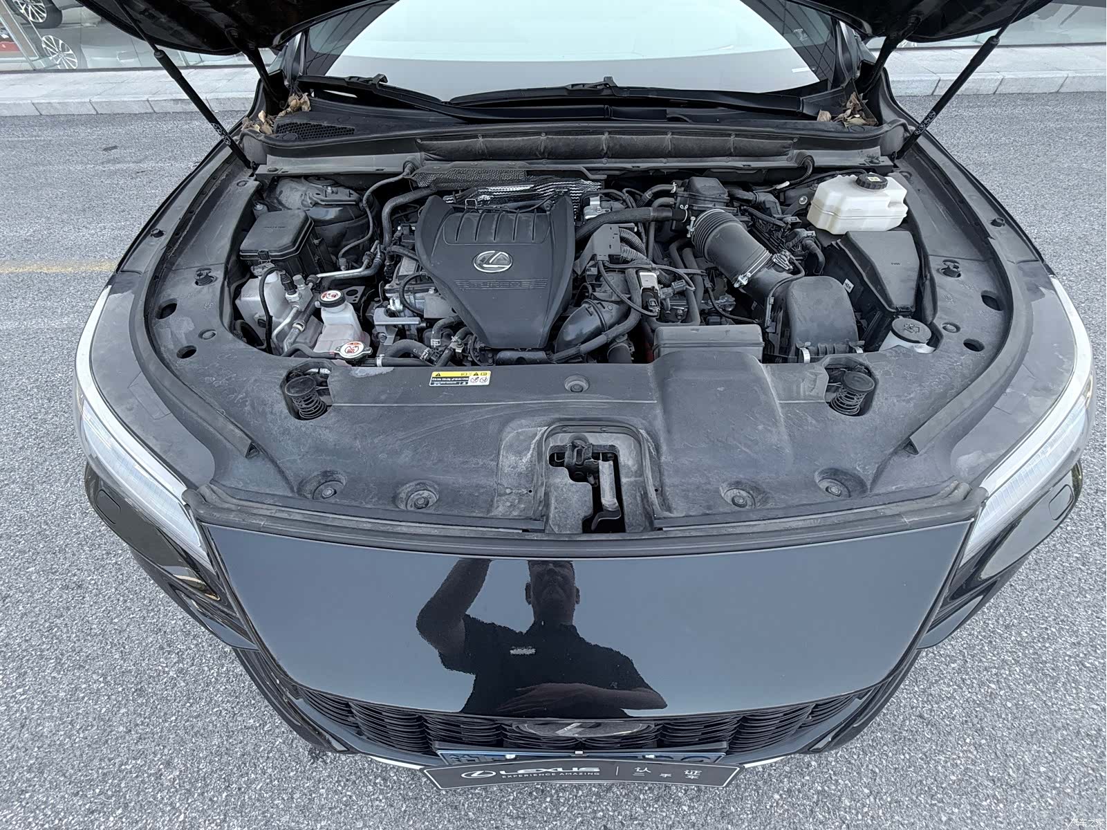 Lexus RX, 2023 19