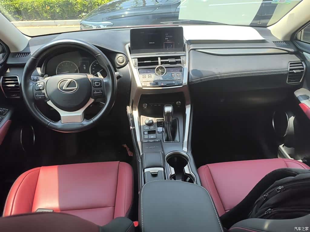 Lexus NX, 2019 10