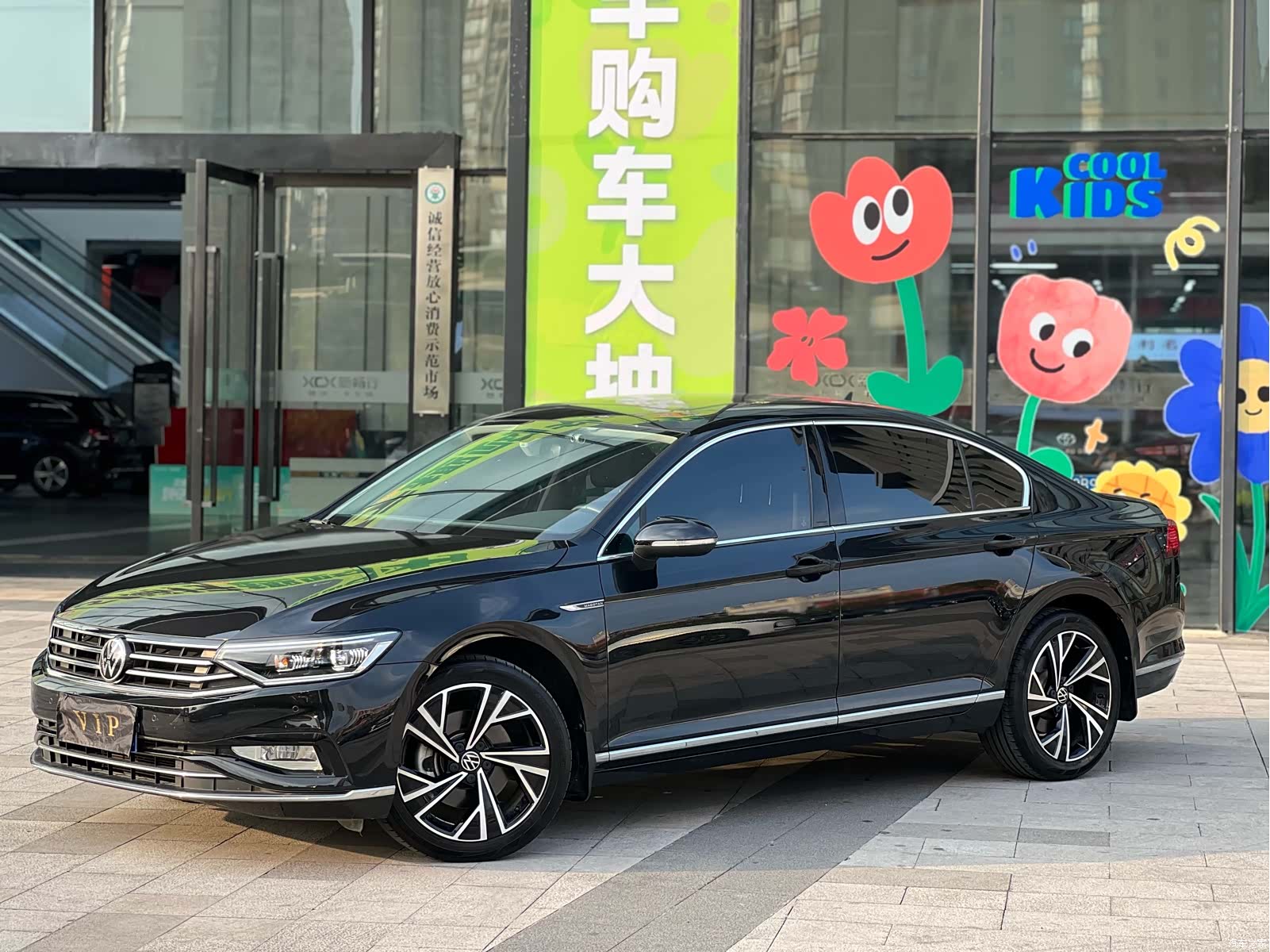 Volkswagen Magotan, 2022 1