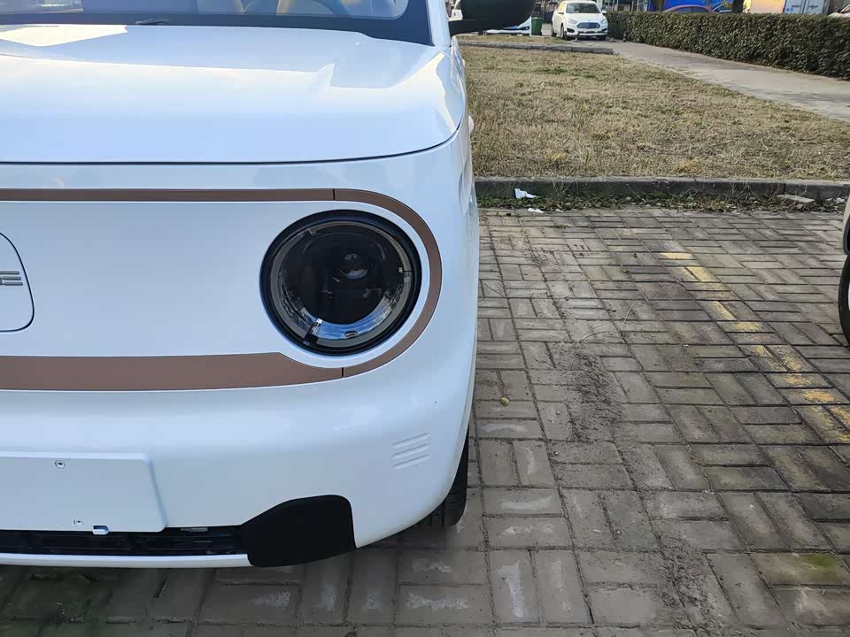 Geely Galaxy panda
