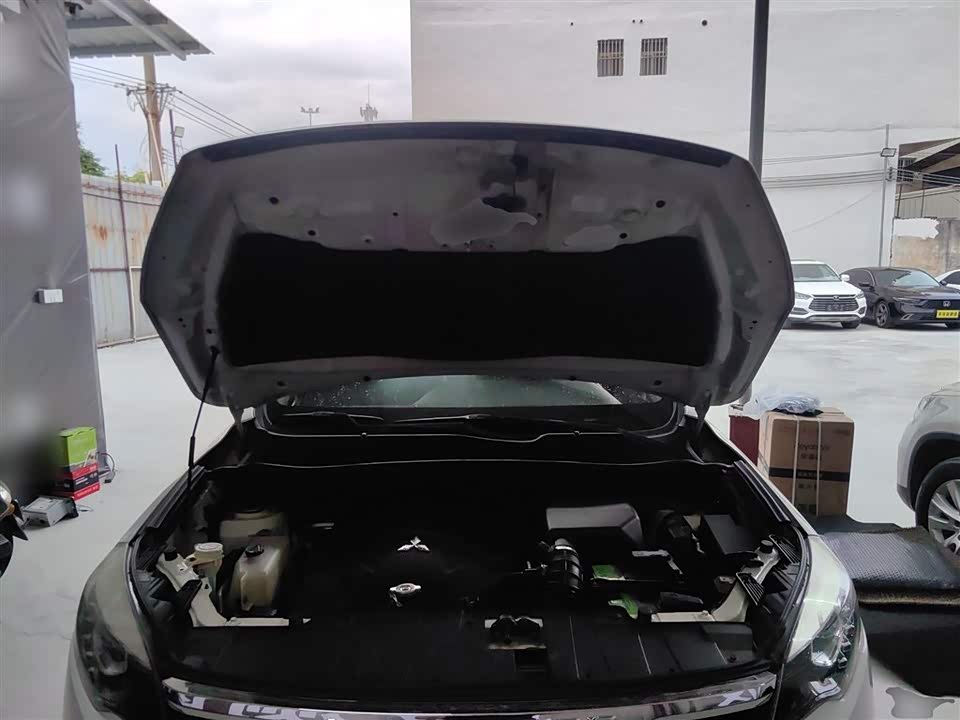 Leopaard Cheetah CS10