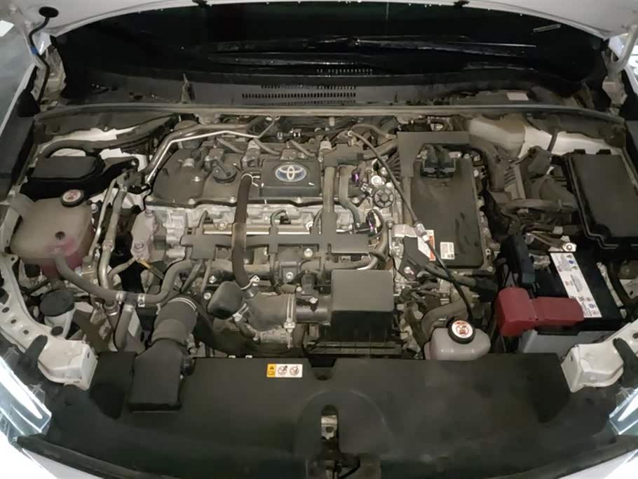 Toyota Lei Ling