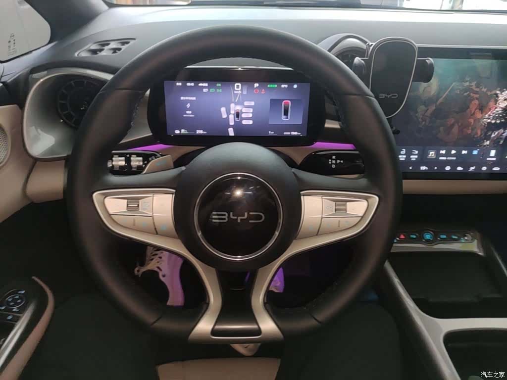 BYD Dolphin, 2026 11