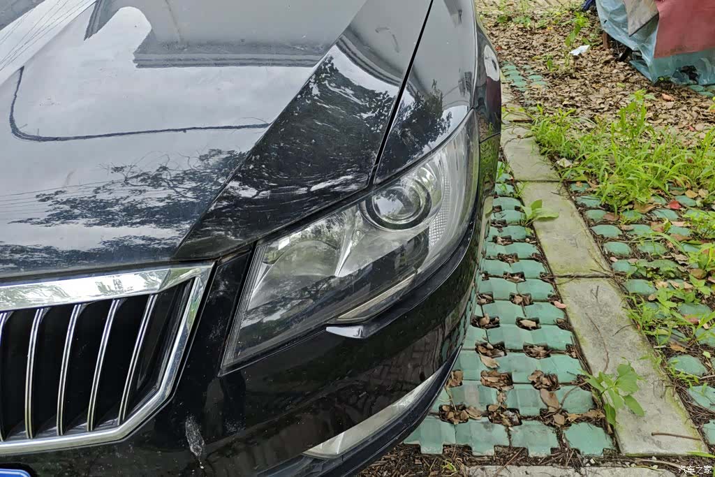 Skoda Superb, 2014 все фото