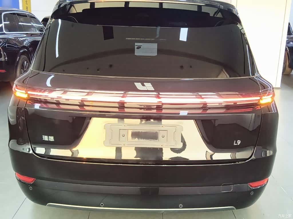 Li Auto L9, 2023 6