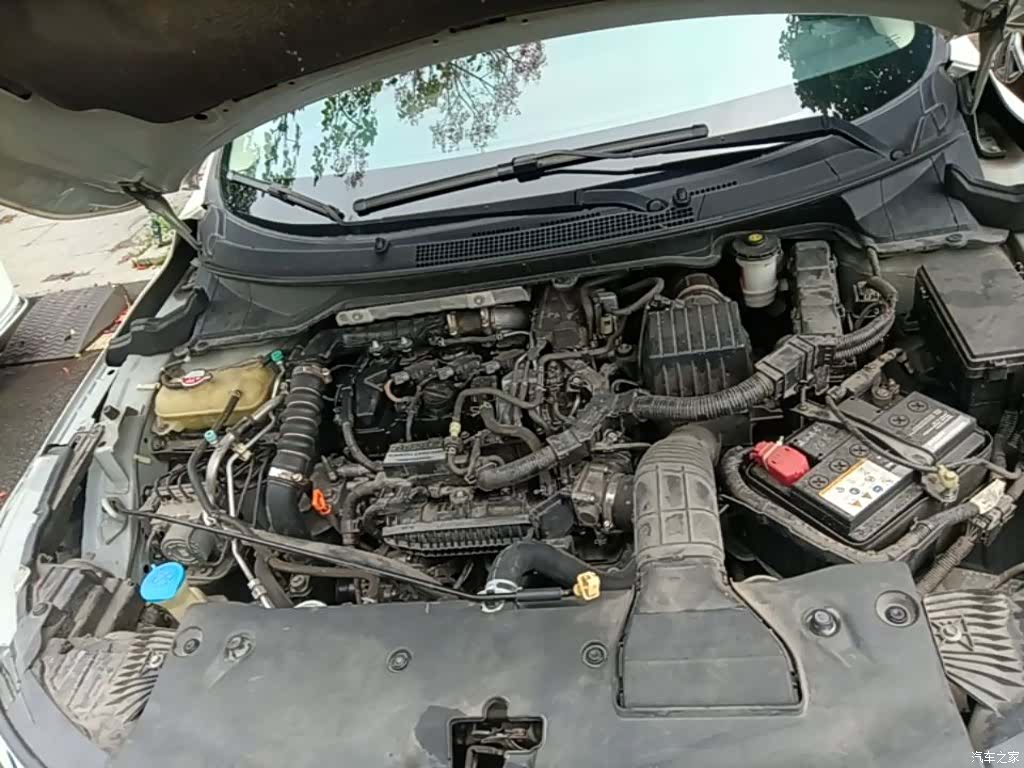 Honda Crider, 2019 20