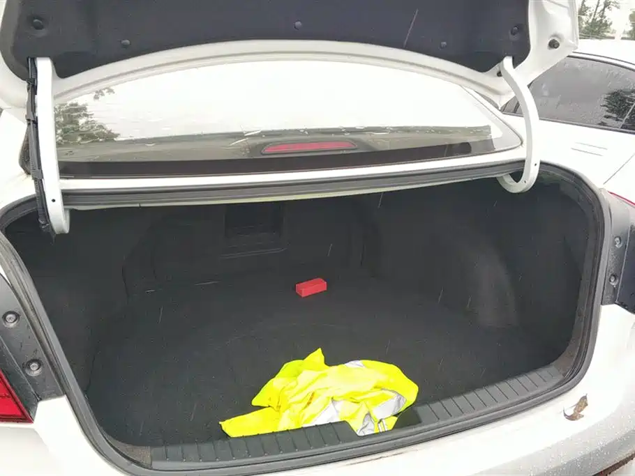 Hyundai Name picture