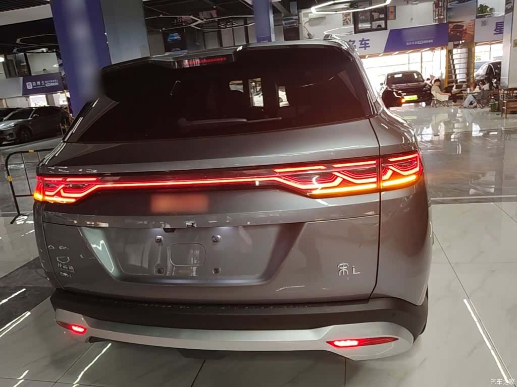 BYD Song, 2024 6