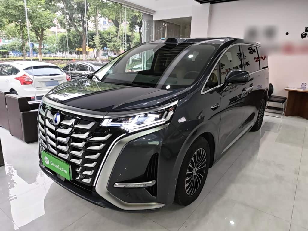 Denza D9
