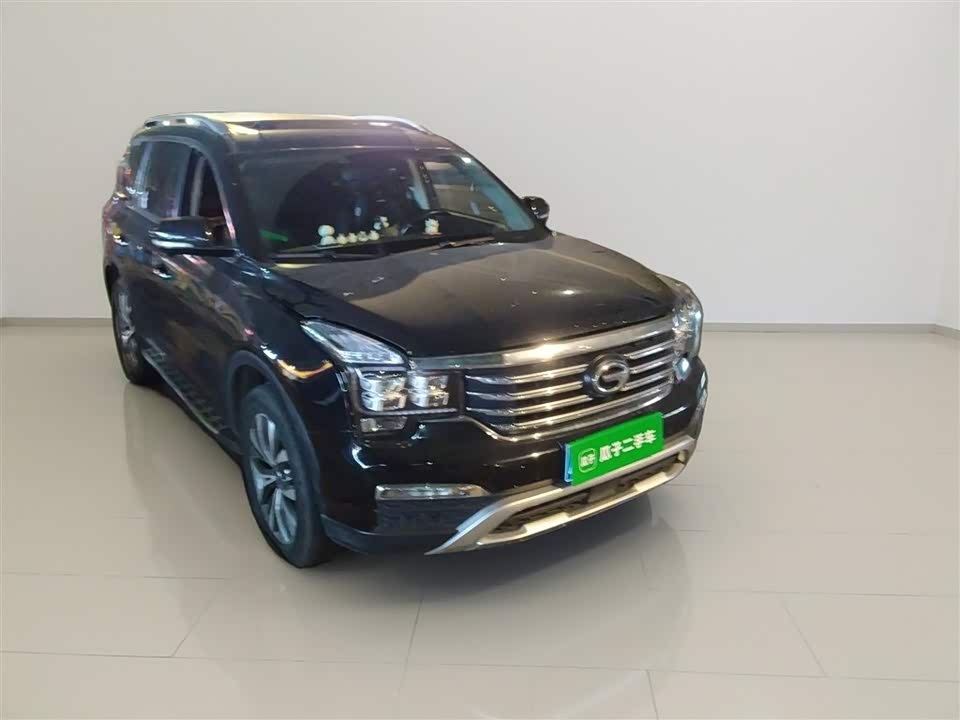 Trumpchi Trumpchi GS8