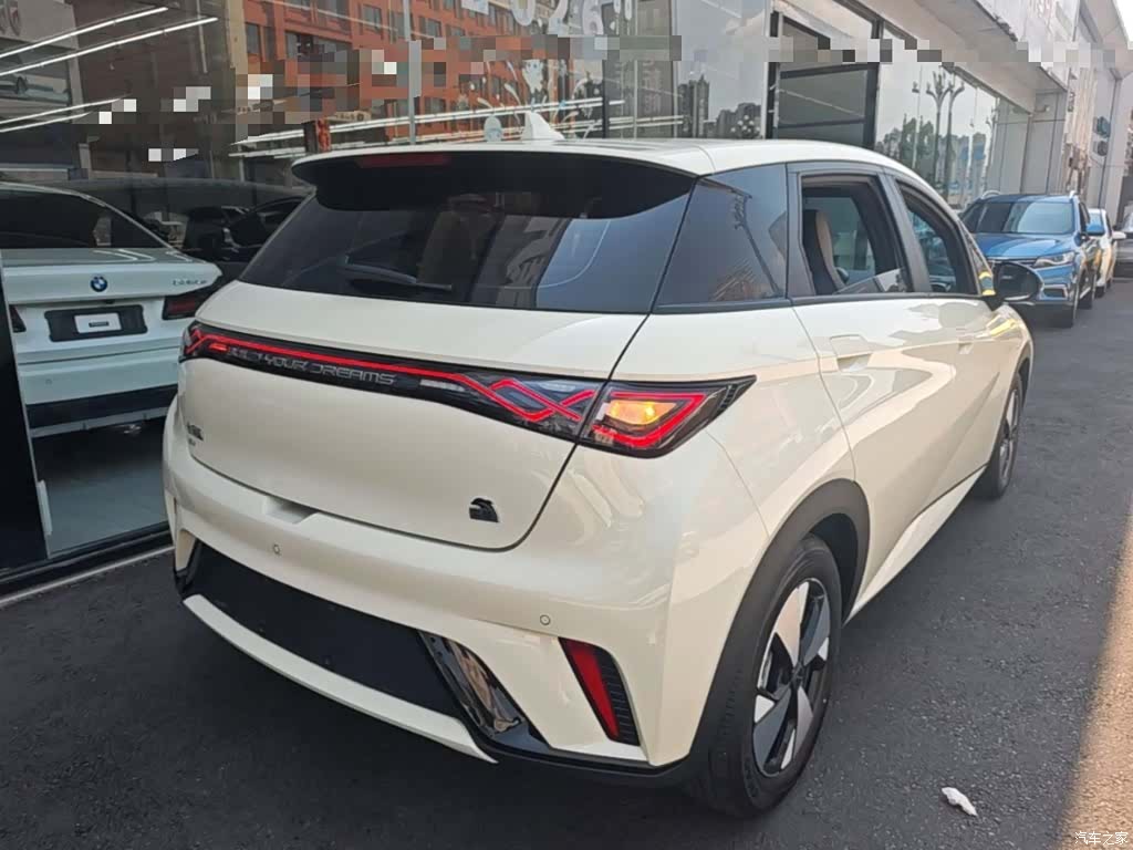 BYD Dolphin, 2024 7