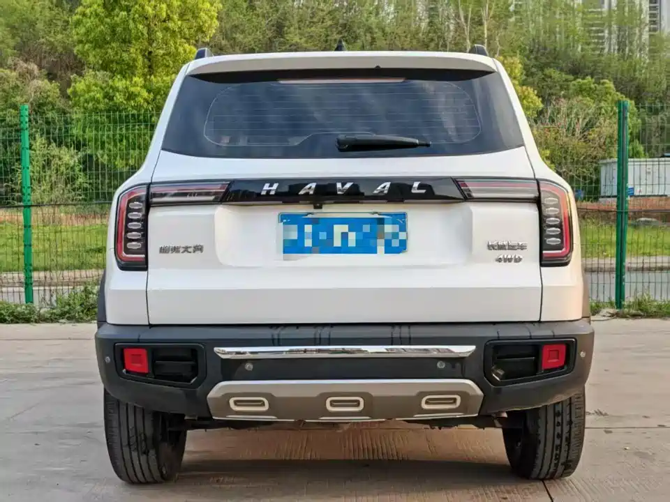 Haval Big dog