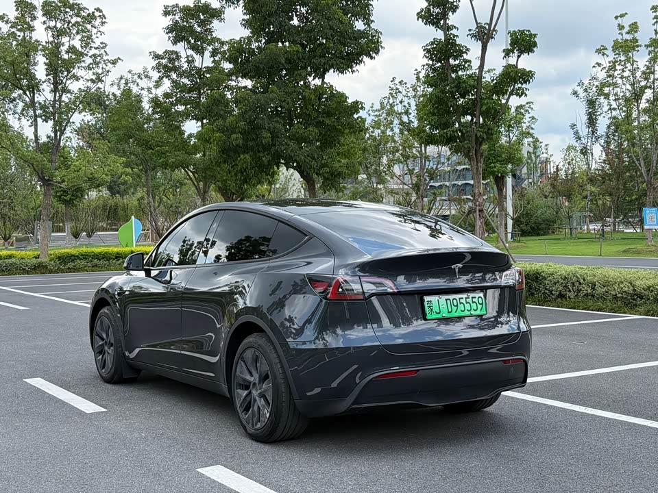 Tesla Model Y Tesla Model Y